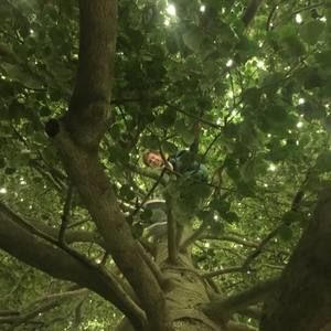 Meet your Posher, Clayton